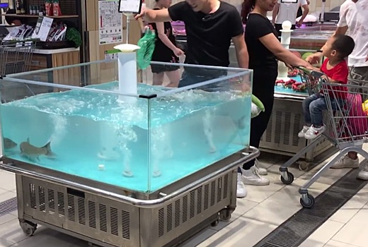 Живая рыба в супермаркете запрыгнула в тележку покупателя