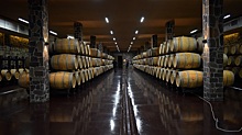 Производство вина в мире за год сократилось на 3,2%
