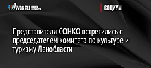 Представители СОНКО встретились с председателем комитета по культуре и туризму Ленобласти