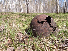 В истории Поискового движения России такое случилось впервые