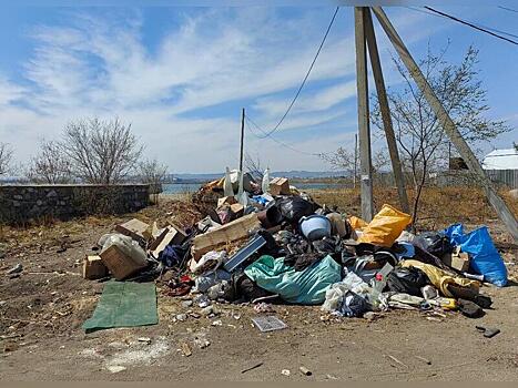 Восемь стихийных свалок выявили в регионе за неделю