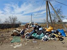Восемь стихийных свалок выявили в регионе за неделю