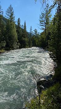 Следователи заинтересовались гибелью туристов на Алтае