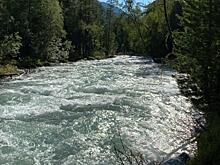 Следователи заинтересовались гибелью туристов на Алтае