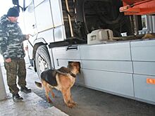 Контрабандистов из Абхазии задержали на сочинской границе