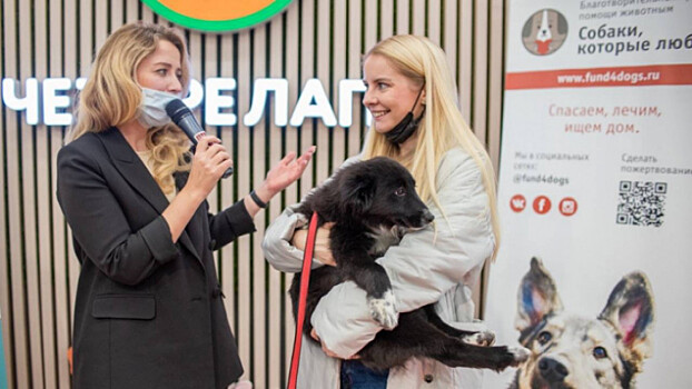 В Москве пройдет dog-friendly фестиваль «Собаки, друзья и человеки»