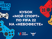 В рамках «Небофеста» пройдет кубок «Мой спорт» по интерактивному футболу