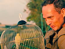 Военную драму «Солнцепек» переведут на четыре языка