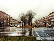 В Польше из-за сильного ветра без света остались 150 тыс. человек