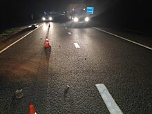 В Знаменке ГАЗель насмерть сбила пешехода