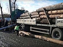 Водитель лесовоза погиб в ДТП на въезде в Челябинск