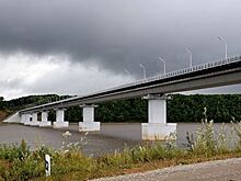 Проект концепции развития острова Большой Уссурийский представят к августу