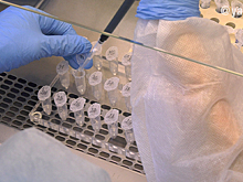 Врачи Ямала предсказали подъём заболеваемости COVID-19 из-за нового штамма. ВИДЕО