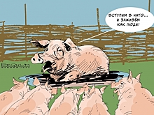 «Дела у Киева совсем швах!» — Эстония не видит Украину в НАТО