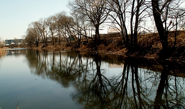 Число заболевших волгоградцев стало ниже одной тысячи