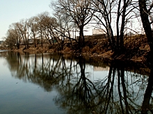 Число заболевших волгоградцев стало ниже одной тысячи