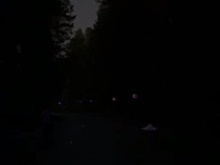 Мотоциклист разбился насмерть в Борском округе под Нижним Новгородом