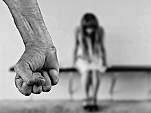 Экс-прокурор: Преступность тоже уходит на удалёнку