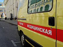 Пилот упавшего под Самарой самолета скончался в больнице