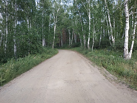Леса Челябинской области защитят от самовольных захватов