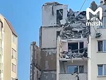 В рухнувшем саратовском доме спустя неделю нашли выживающую без еды и воды кошку