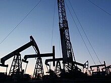 Раскрыты планы Белоруссии по поставкам нефти из России