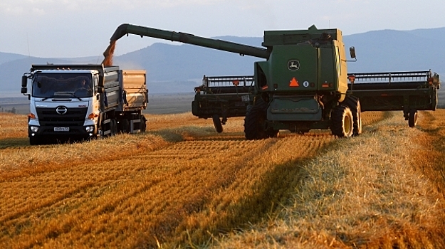 Россия готова поставить до 30 млн тонн зерна на мировой рынок