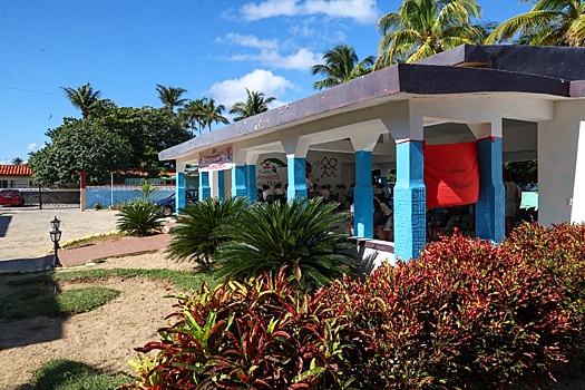 Дети из Петербурга смогут отдыхать в кубинском «Артеке»