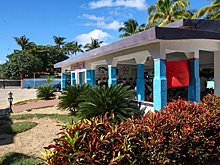 Дети из Петербурга смогут отдыхать в кубинском «Артеке»