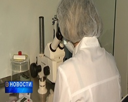 В Башкортостане увеличено количество квот на ЭКО