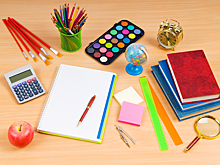 В России хотят назначить чиновников, отвечающих за школьную программу по предметам