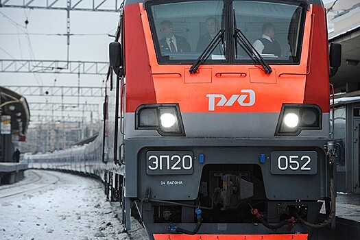 Поезд сбил двух человек в Новой Москве