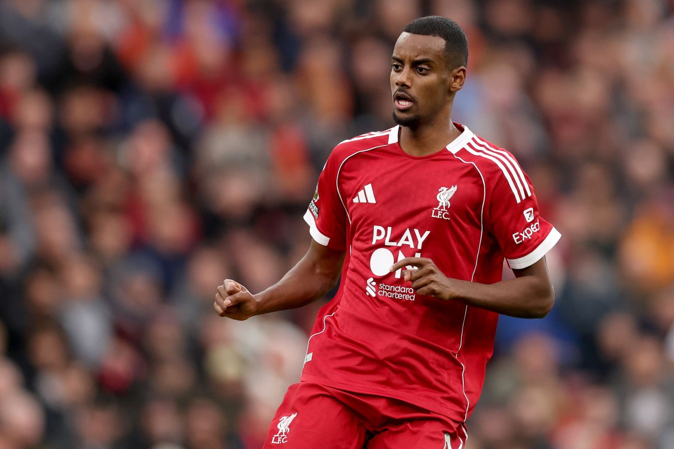 ����&nbsp; ��������� ������������ ����� ����, ���������� ������ ������