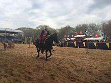 Рыцарский турнир Святого Георгия проходит в Коломенском