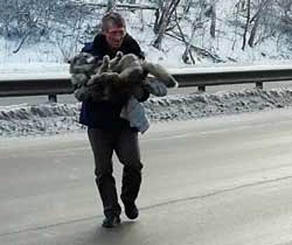 В Челябинской области дальнобойщик спас сбитую машиной собаку, которая больше часа пробыла на морозе