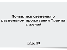 Появились сведения о раздельном проживании Трампа с женой