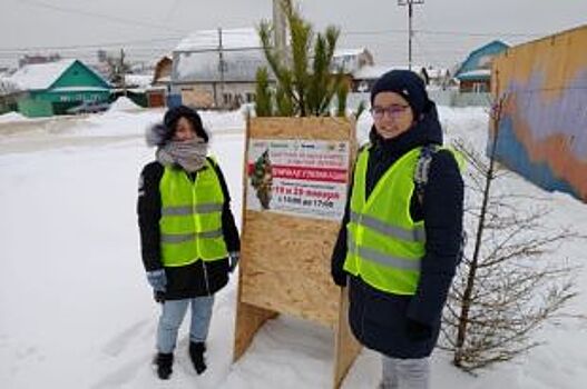 В Уфе начался прием новогодних елок на переработку