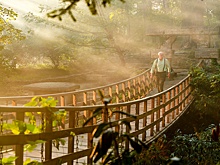 Никогда такого не было: 15 фильмов, сериалов и шоу, которые выходят 1 января