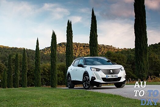 Peugeot занял третье место на автомобильном рынке Украины