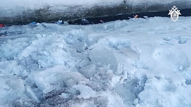 Бастрыкину доложат о деле с падением глыбы льда на нижегородских детей