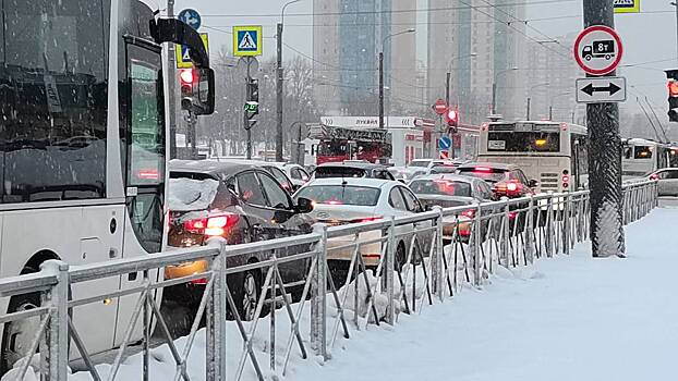 Пробка из троллейбусов и автобусов появилась в Петербурге из-за ужасной уборки снега