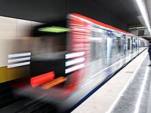 Главу омского УМВД уволили после драки в московском метро