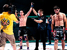 Илья Фрейманов – Эризман Байрамов, зрелищный нокаут на MMA Series 17, видео