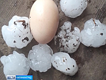 Град посреди лета выпал в Черняховском городском округе