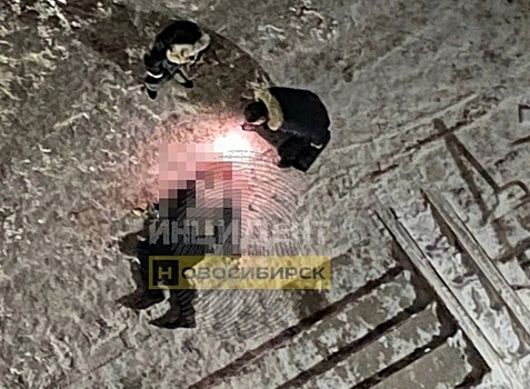 Трупы мужчины и ребёнка обнаружили возле многоэтажки в Новосибирске