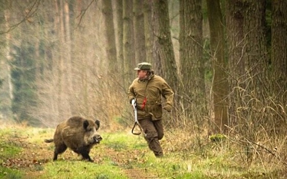 Волгоградские власти выводят охотников в неправовой режим