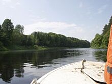 Проводится доследственная проверка по факту утопления художника и подростка