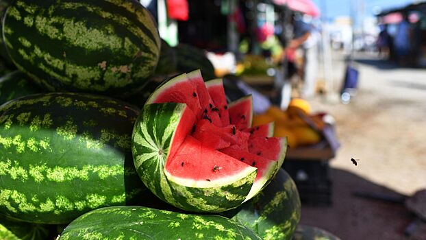 Терапевт Сысоева посоветовала есть не более 800 г бахчевых в сутки