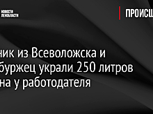 Механик из Всеволожска и петербуржец украли 250 литров бензина у работодателя