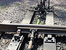 В российском регионе электричка с пассажирами застряла в лесу